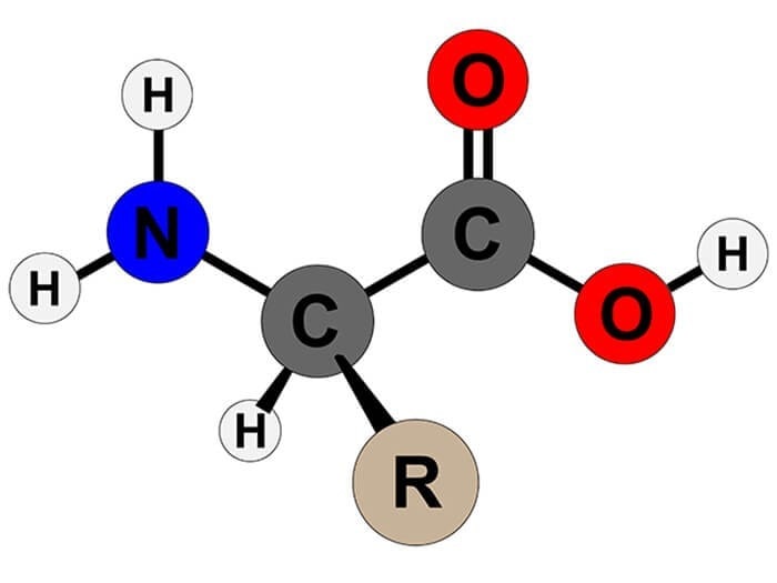 C6H5NH2 Br2